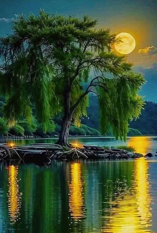 LIỄU VẪN XANH...®