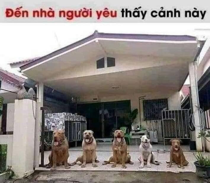 QUA ĐÈO... SANG ®